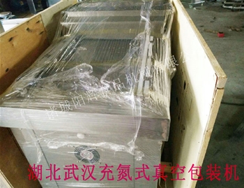 湖北充氮式真空包裝機