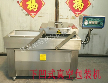 600雙室下凹真空包裝機(jī)