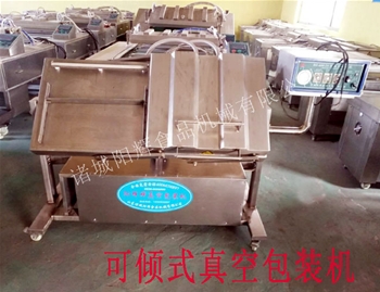 600雙室傾斜真空包裝機(jī)